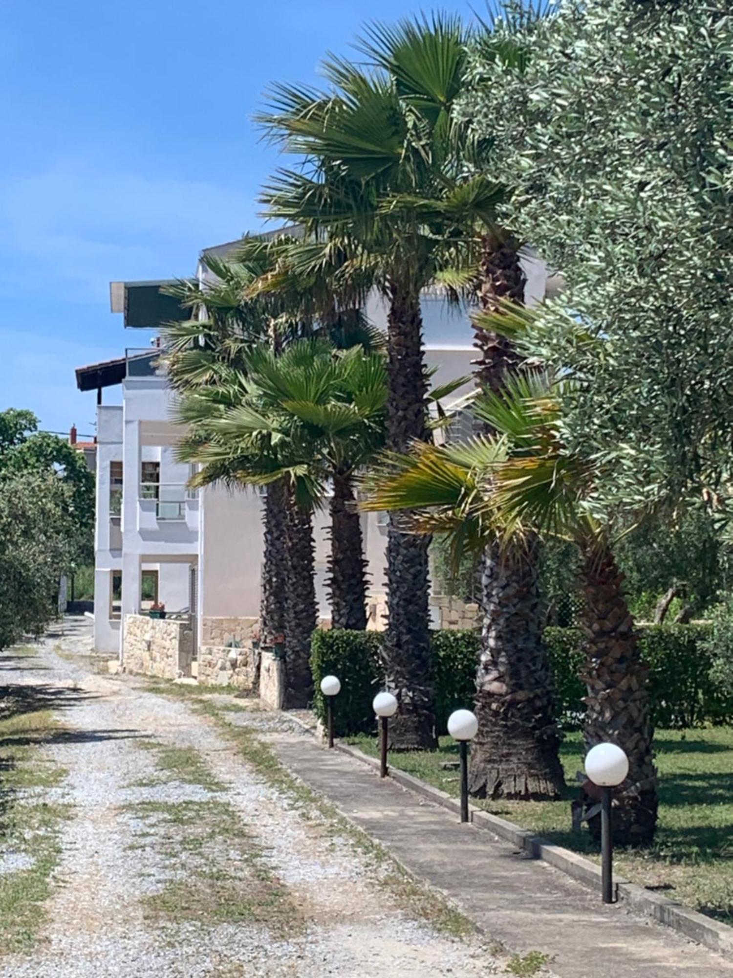 Villa Evita , Penthouse, 53M2 ,Athytos 450M From The Beach Áfitosz Kültér fotó